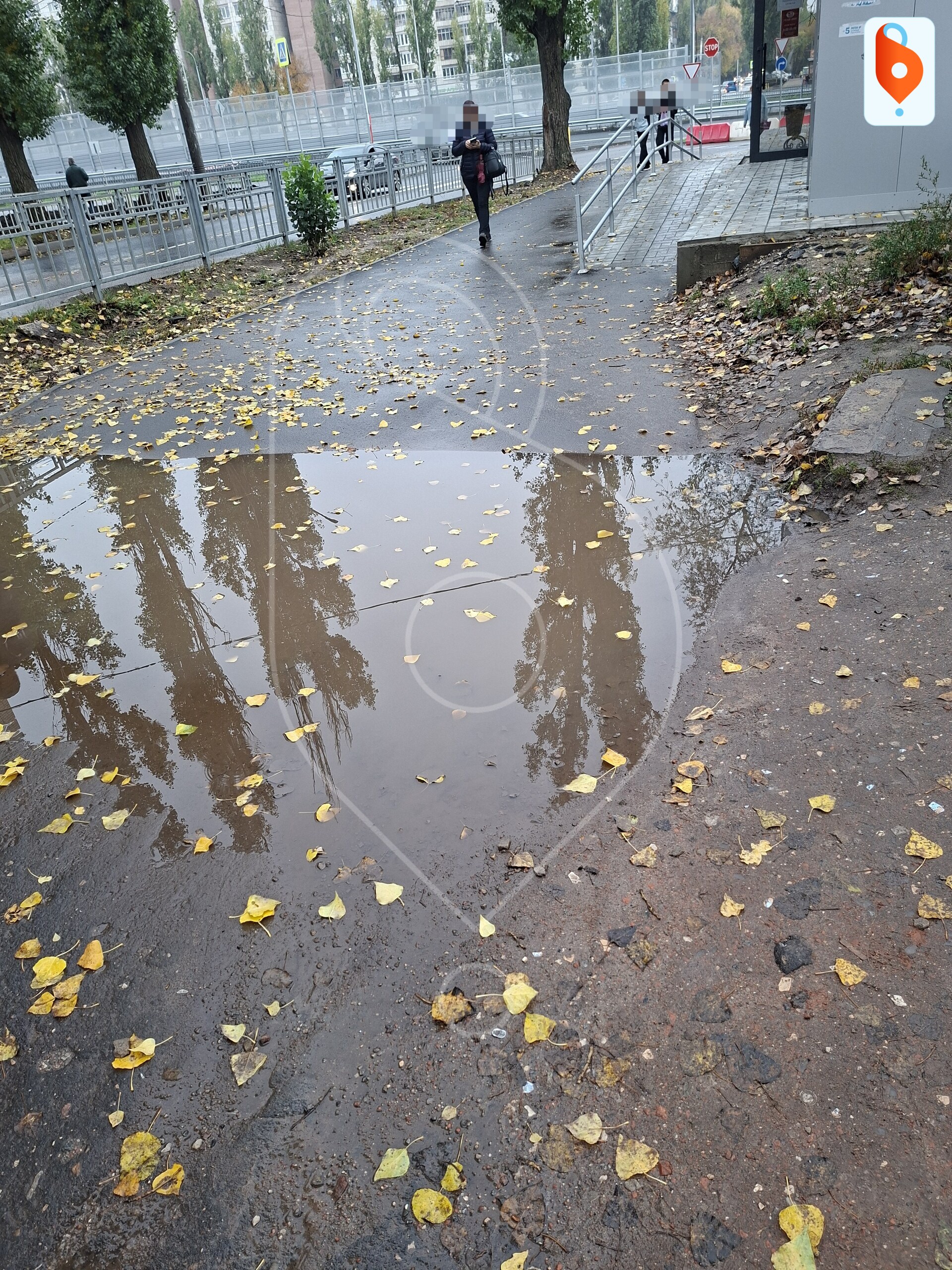 Воронежцы не могут подойти к подземному переходу из-за огромной лужи на Переверткина