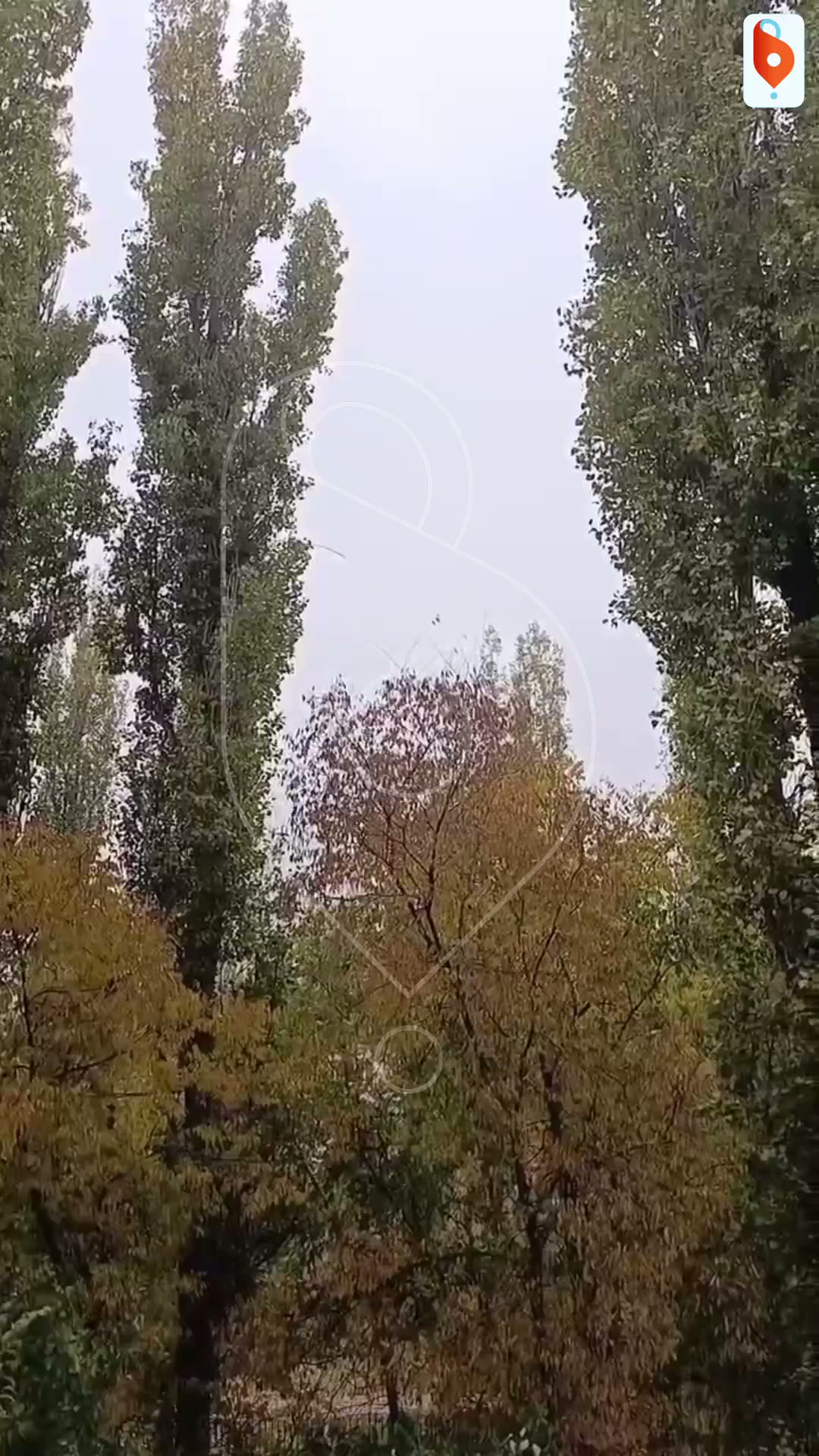 На Ростовской заело сирену