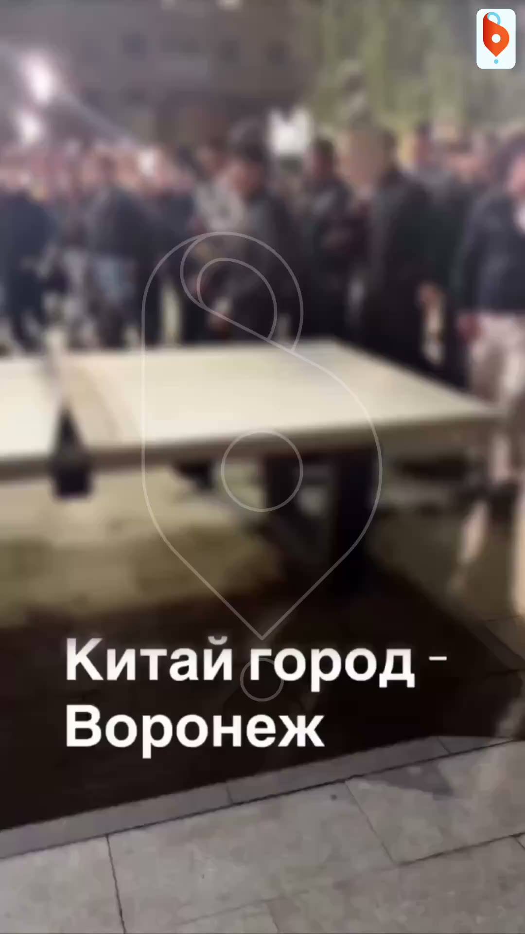 27 человек задержала Росгвардия за пьяную потасовку в самом центре Воронеж