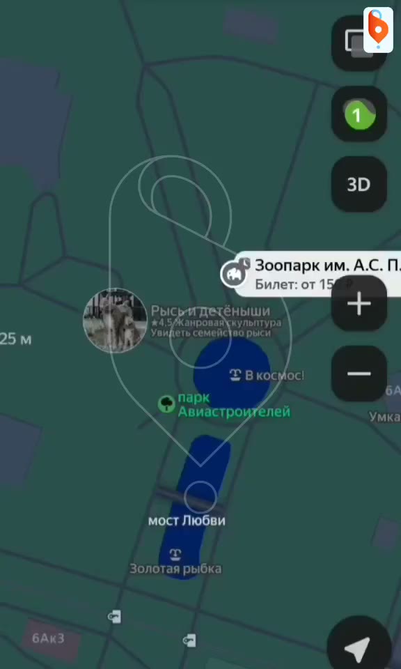 В зоопарке Воронежа появились ламы-эмо, верблюд из ужастика и гусь-необнимусь